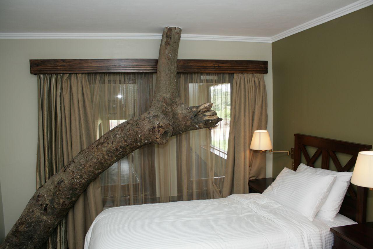 Treetops Mweiga Δωμάτιο φωτογραφία