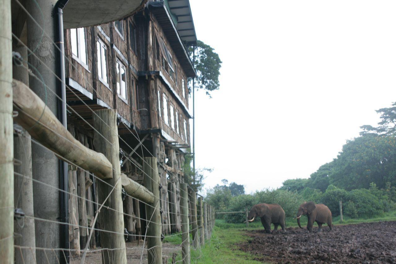 Treetops Mweiga Εξωτερικό φωτογραφία