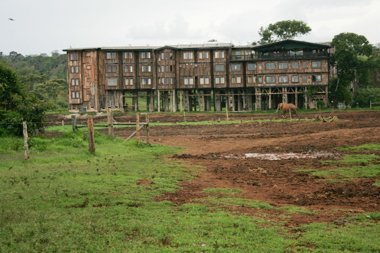 Treetops Mweiga Εξωτερικό φωτογραφία