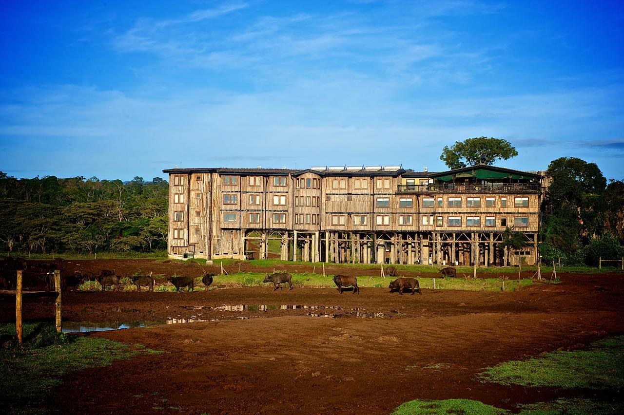 Treetops Mweiga Εξωτερικό φωτογραφία