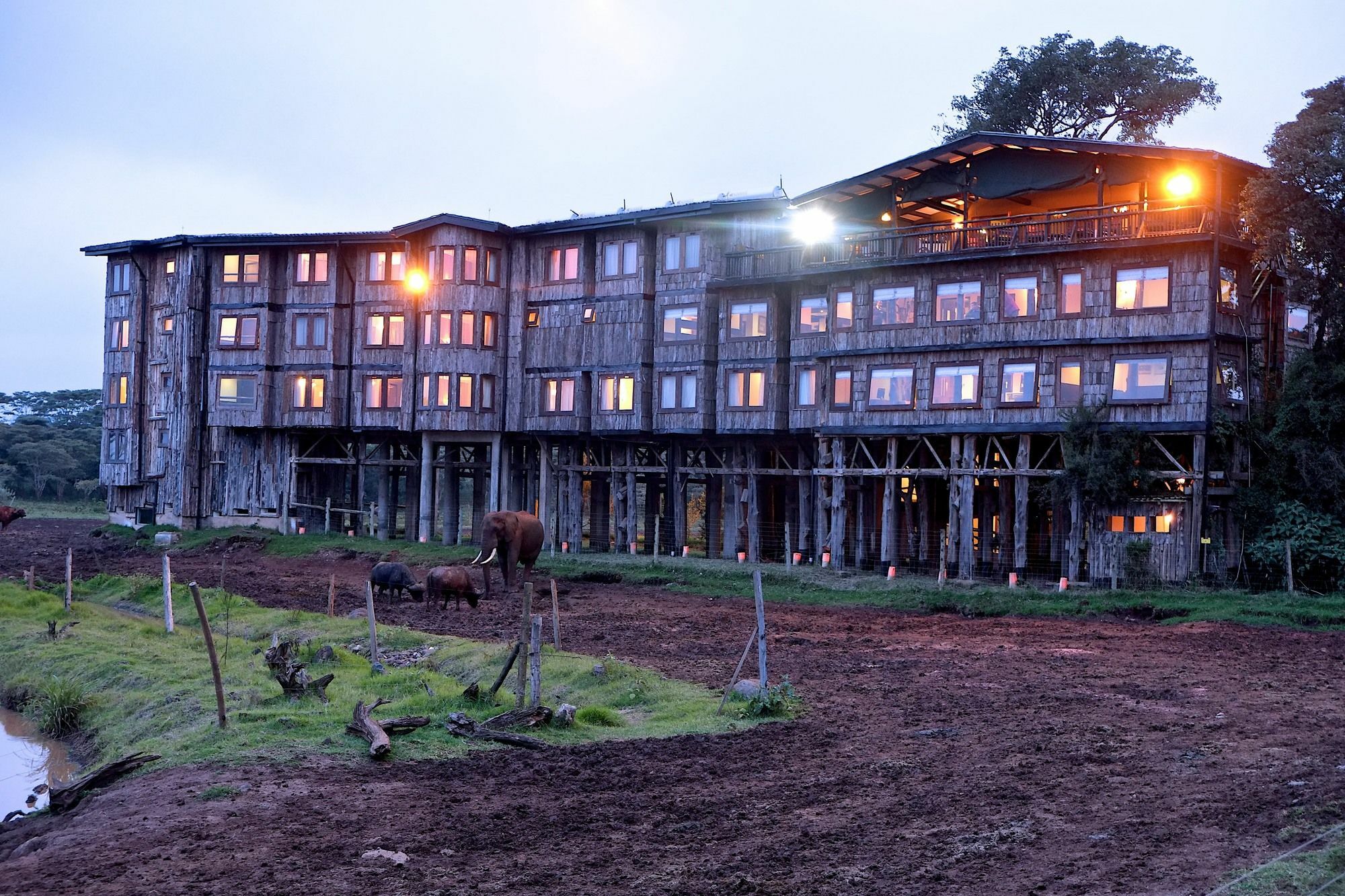 Treetops Mweiga Εξωτερικό φωτογραφία
